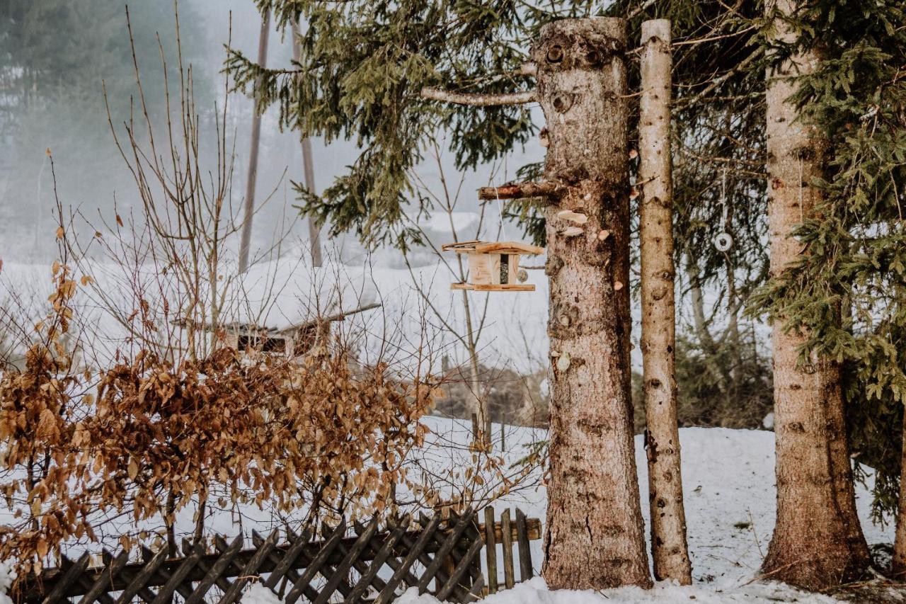 Knusperhauschen Sonnegg Villa ฟลาคเฮา ภายนอก รูปภาพ